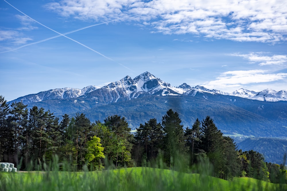 green trees and mountain under blue sky during daytime