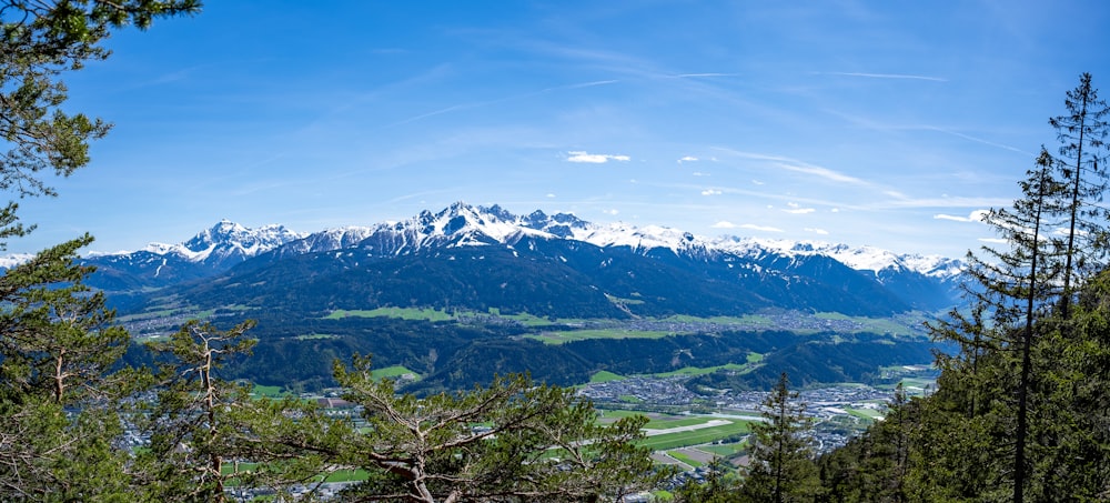 Grüne Bäume und Berge unter blauem Himmel tagsüber