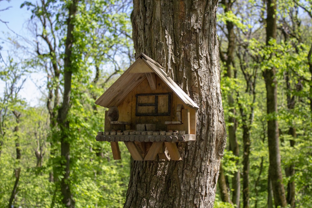 casetta per uccelli in legno marrone sull'albero