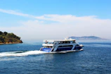 A quaint ferry gliding through calm waters en route to Neil Island under a bright blue sky.