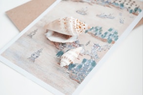 white and brown seashell on white and blue floral textile