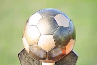 A dynamic SVG animation of a soccer ball curving into a goal, set against layered green hues.