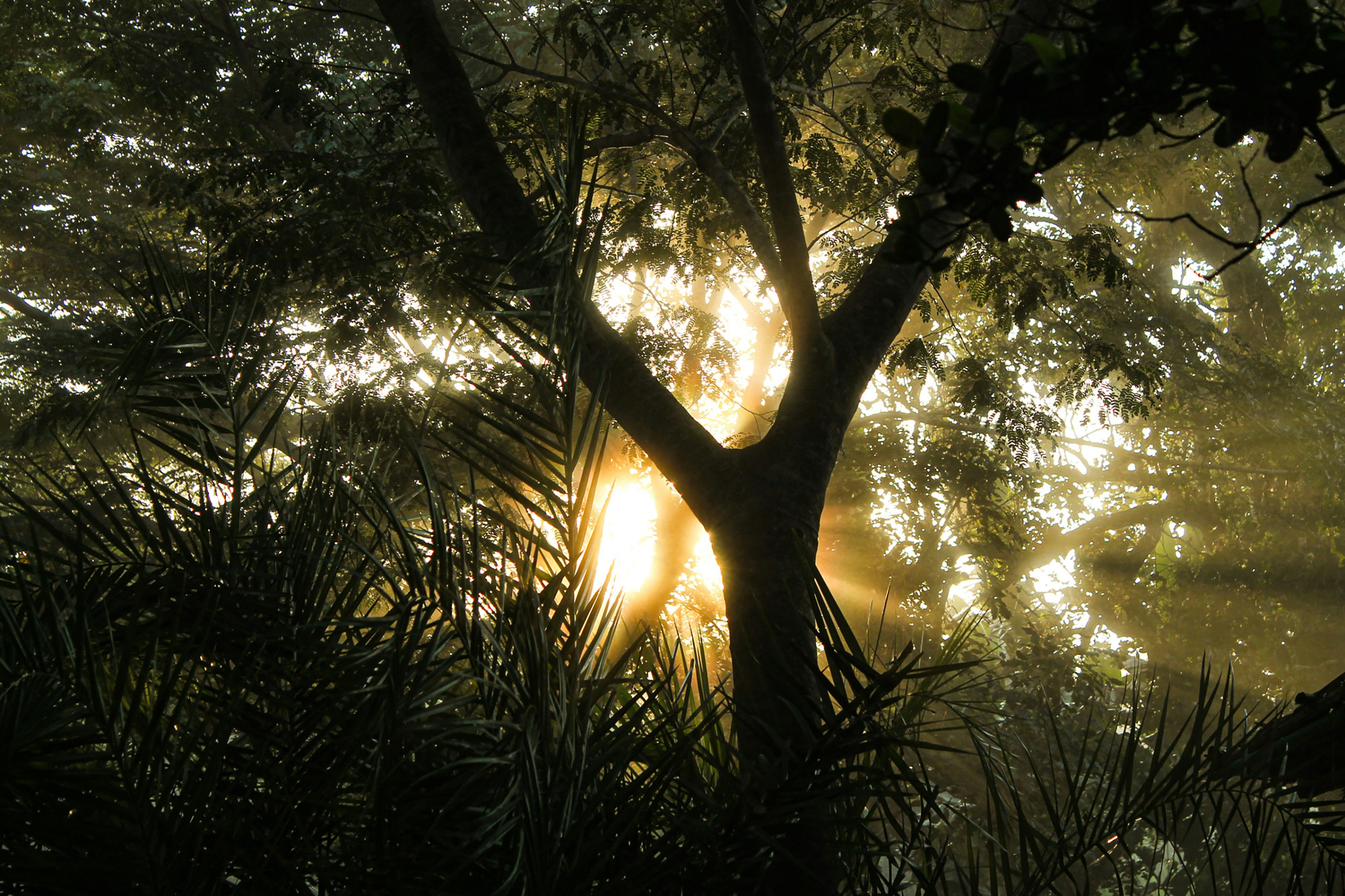 Photo by craigan_ivison