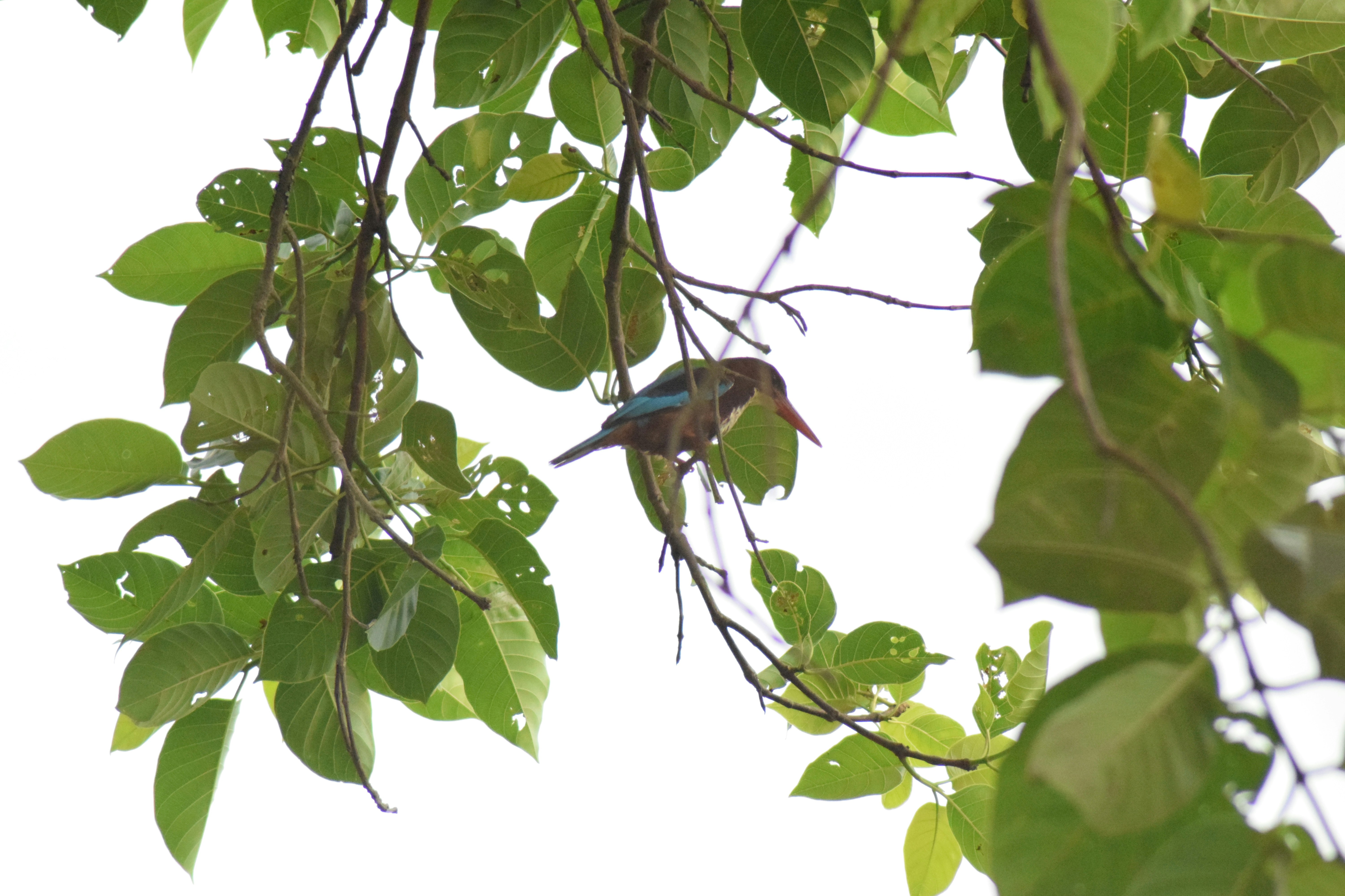 Photo by photographyworld