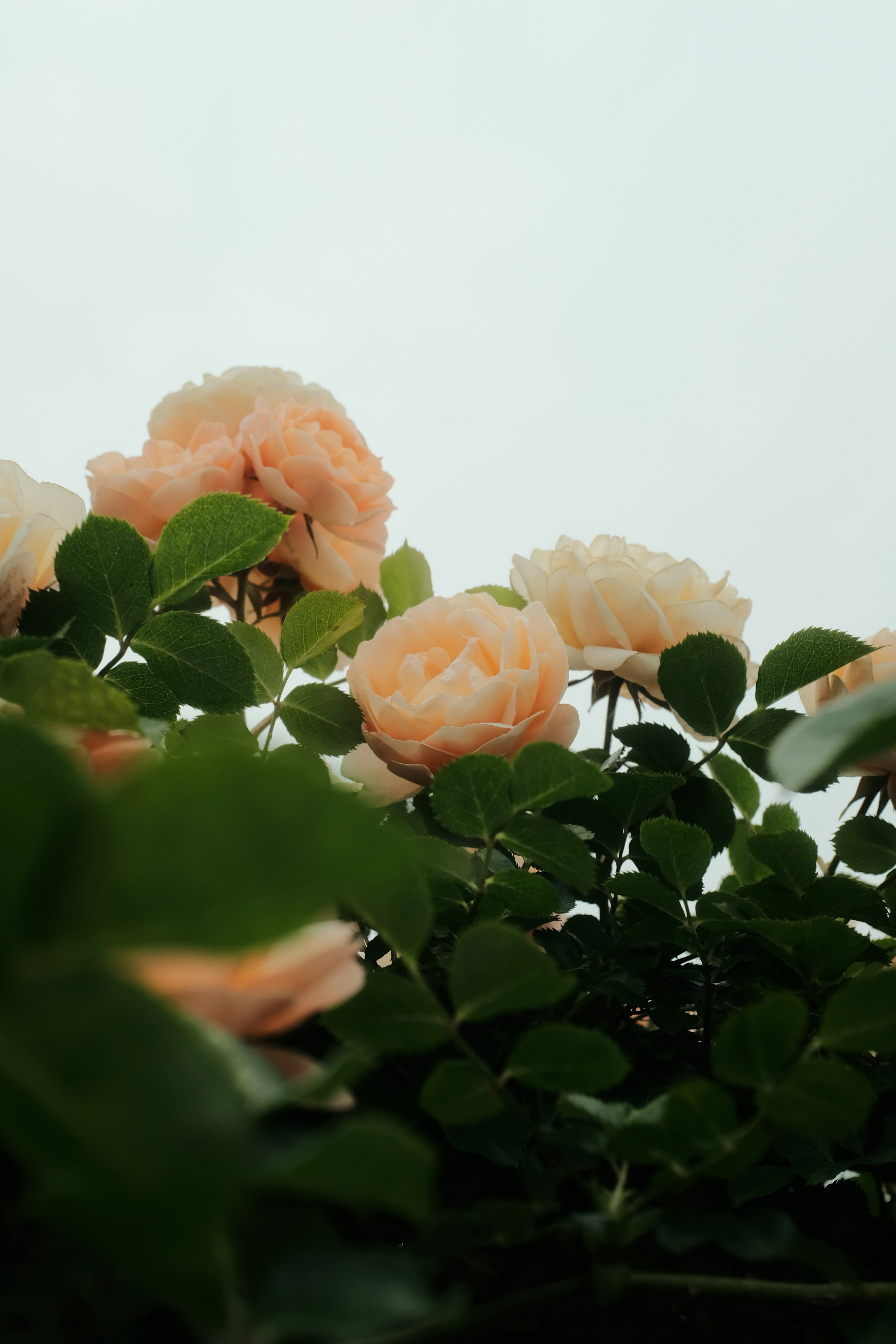 Photo by mak_jp