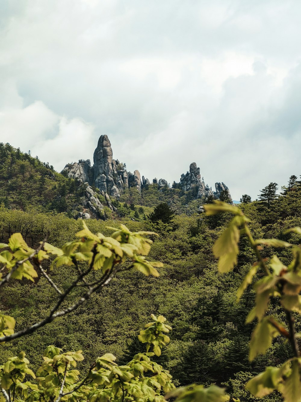 arbres verts près de la montagne sous les nuages blancs pendant la journée