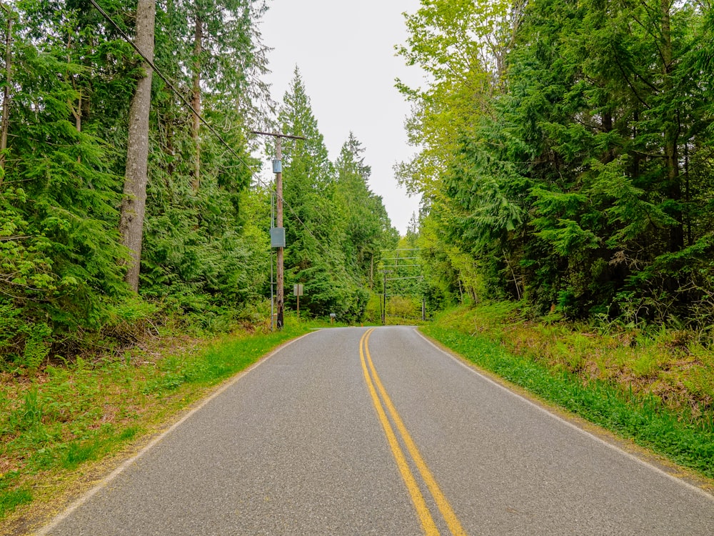 gray concrete road between green trees during daytime