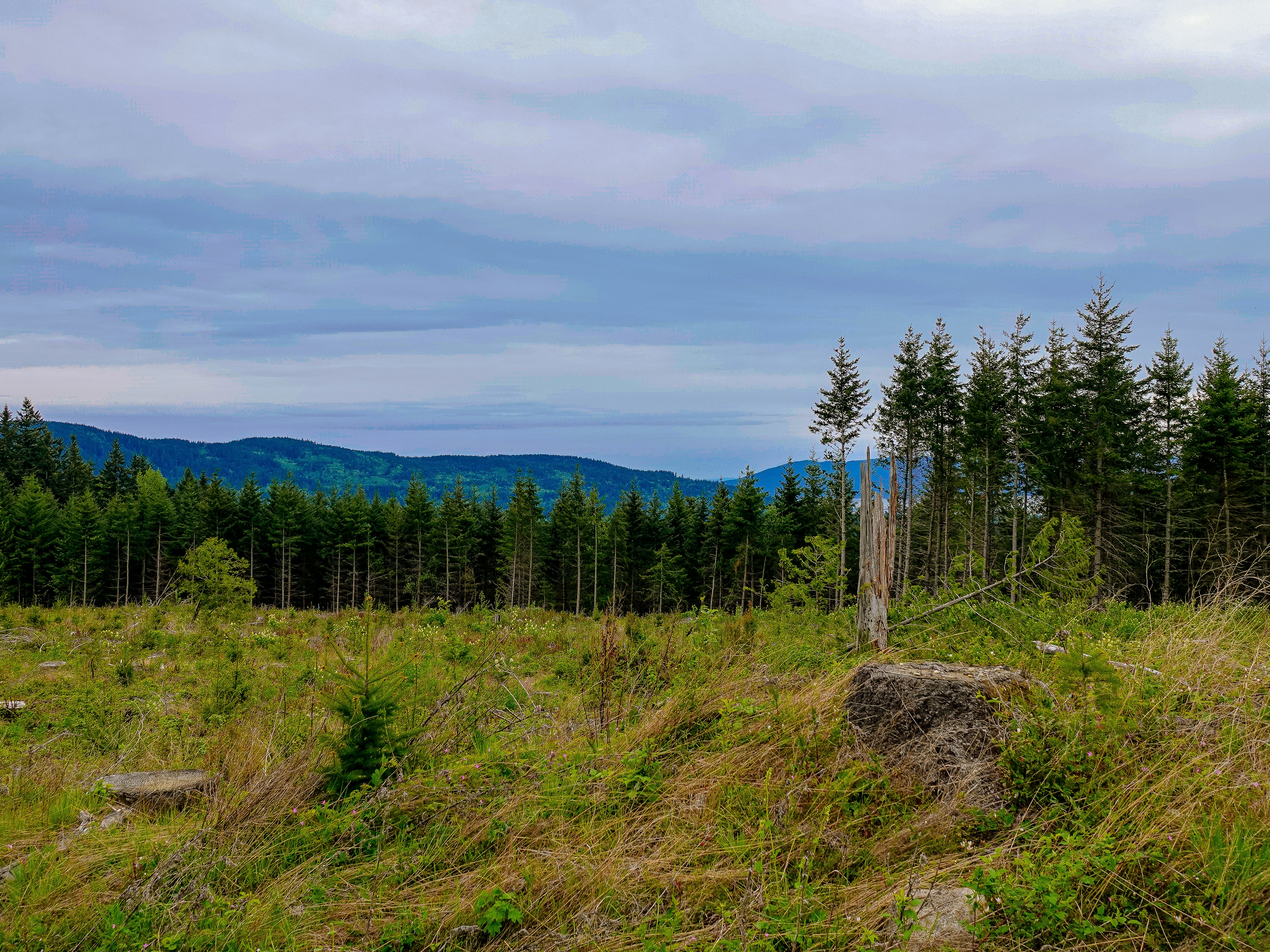 Photo by pavlpolo_official