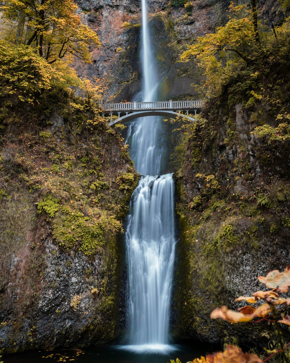 water falls in the middle of the forest