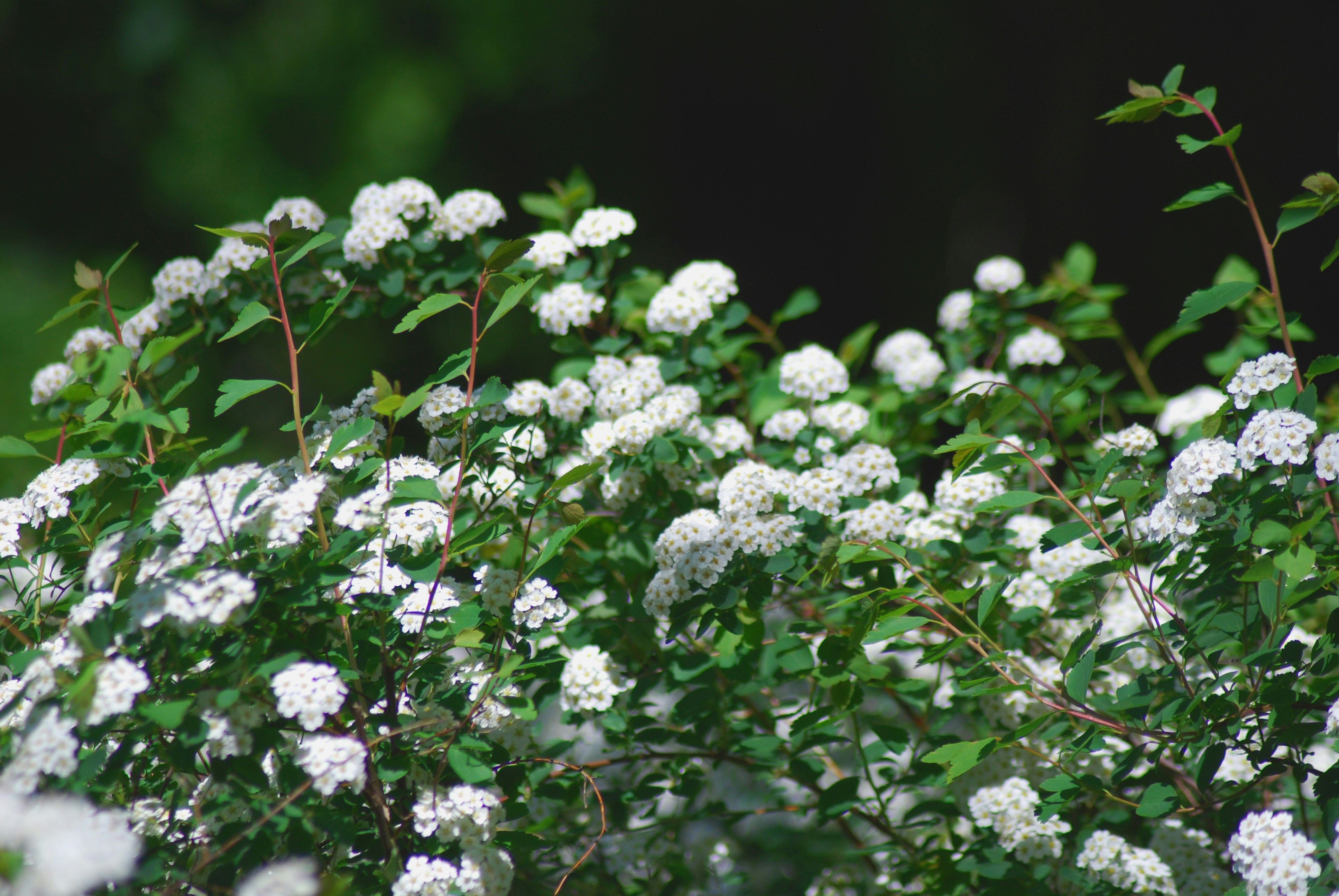 Photo by origamiaround