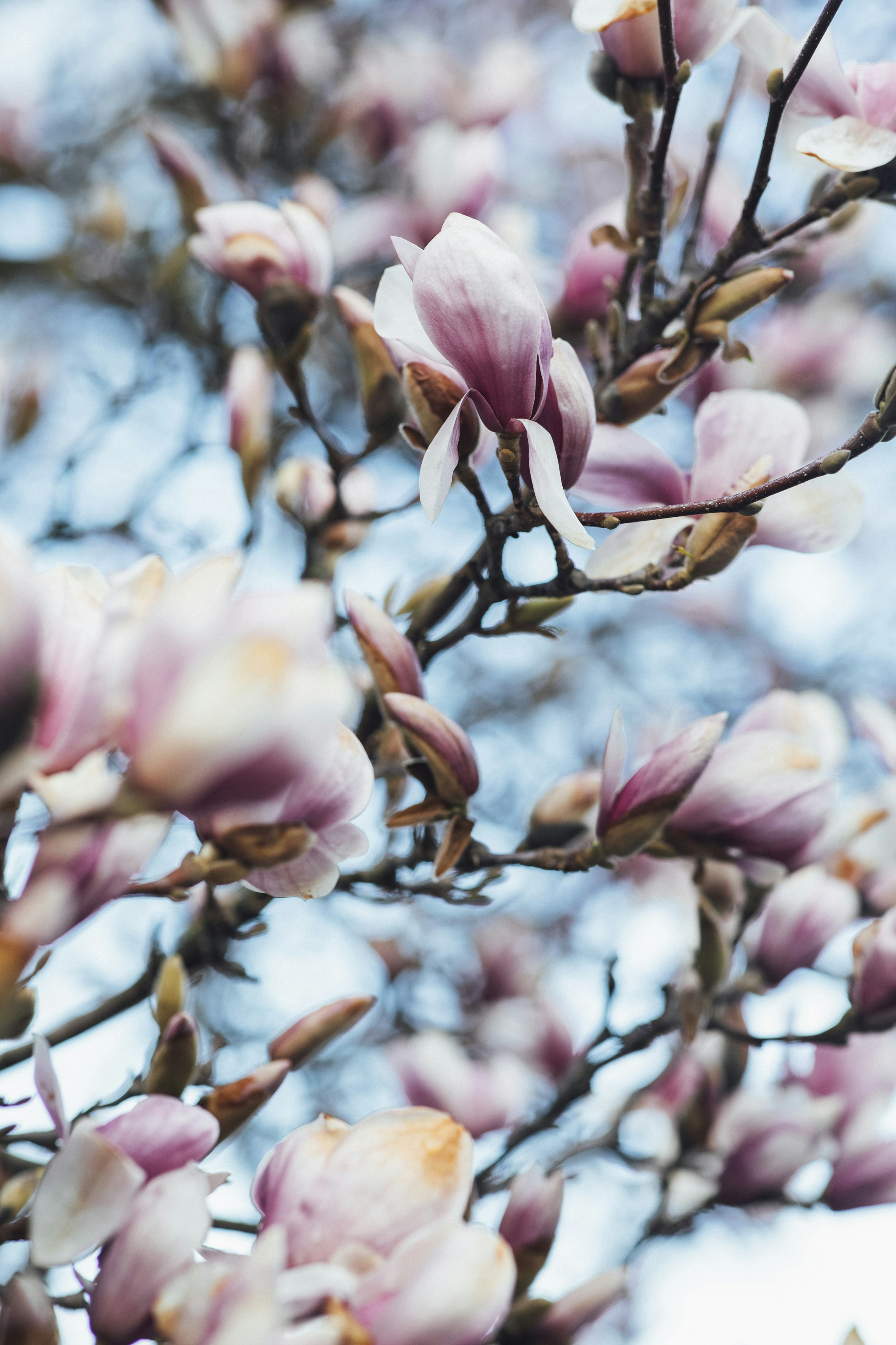 Photo by markusspiske