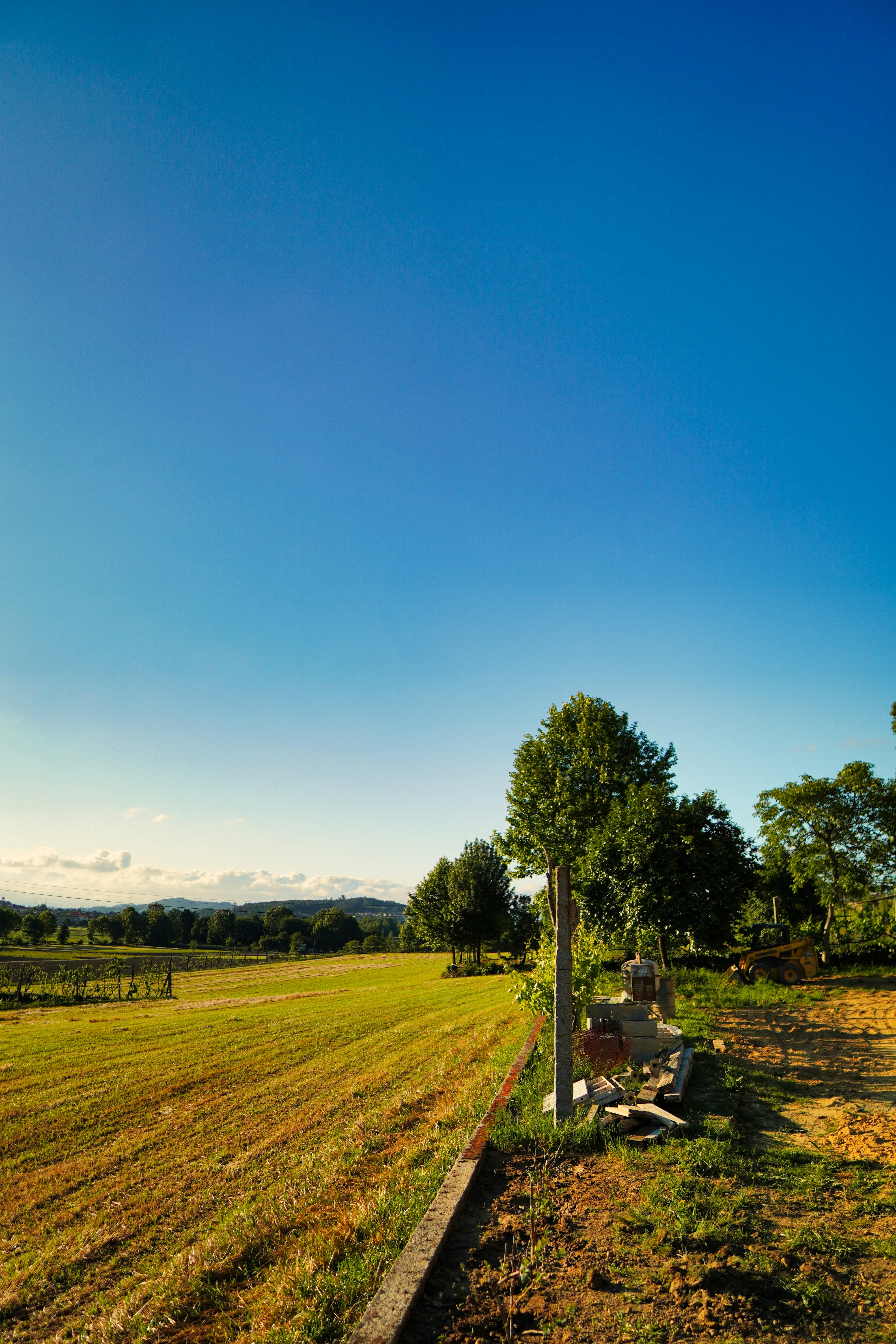 Photo by marcio_azevedo