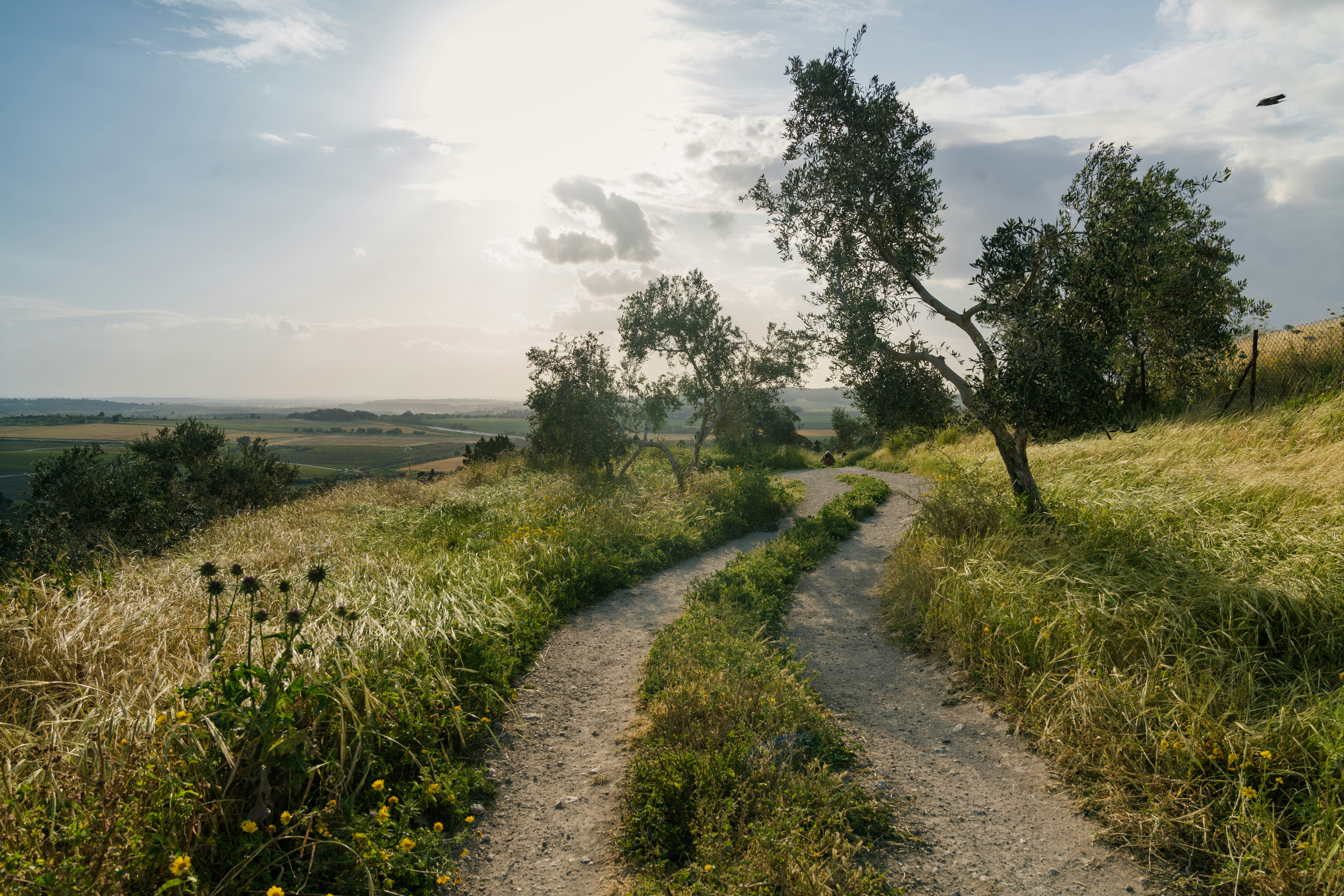 Photo by dmitrymishin