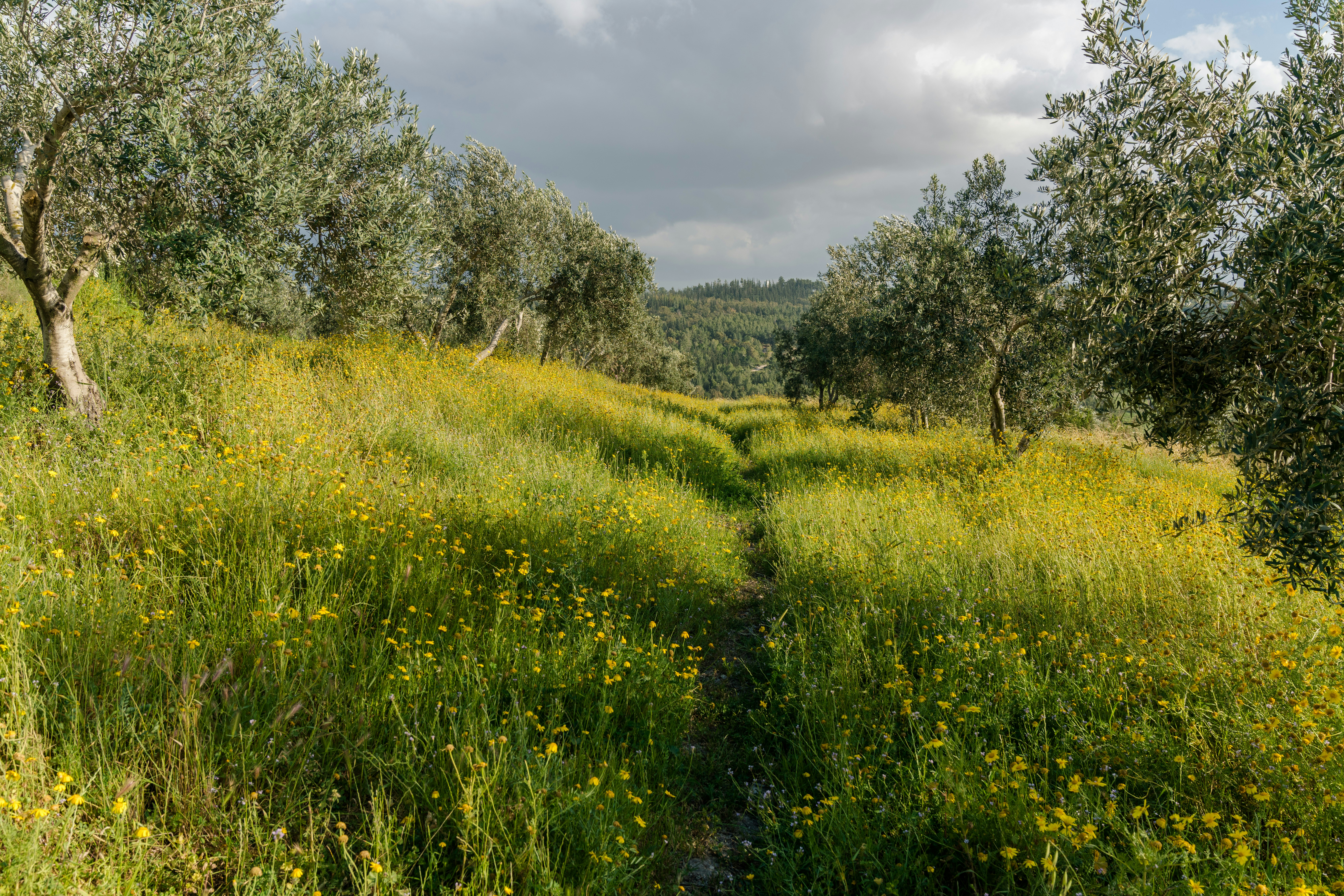 Photo by dmitrymishin