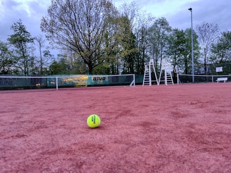 A tennis ball lies on a reddish clay tennis court, with a backdrop of a net and a line of trees. Tennis umpire chairs are visible near the net under a cloudy sky, indicating an outdoor setting.