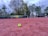 A tennis ball lies on a reddish clay tennis court, with a backdrop of a net and a line of trees. Tennis umpire chairs are visible near the net under a cloudy sky, indicating an outdoor setting.