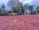 A tennis ball lies on a reddish clay tennis court, with a backdrop of a net and a line of trees. Tennis umpire chairs are visible near the net under a cloudy sky, indicating an outdoor setting.