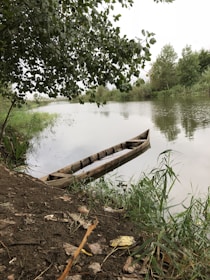 A wooden canoe rests by the edge of a calm river surrounded by lush greenery. Overhanging branches with dense foliage partially cover the sky, adding to the serene atmosphere. The riverbank is lined with grass and some fallen leaves, indicating a natural and peaceful setting.