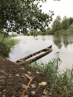 A wooden canoe rests by the edge of a calm river surrounded by lush greenery. Overhanging branches with dense foliage partially cover the sky, adding to the serene atmosphere. The riverbank is lined with grass and some fallen leaves, indicating a natural and peaceful setting.