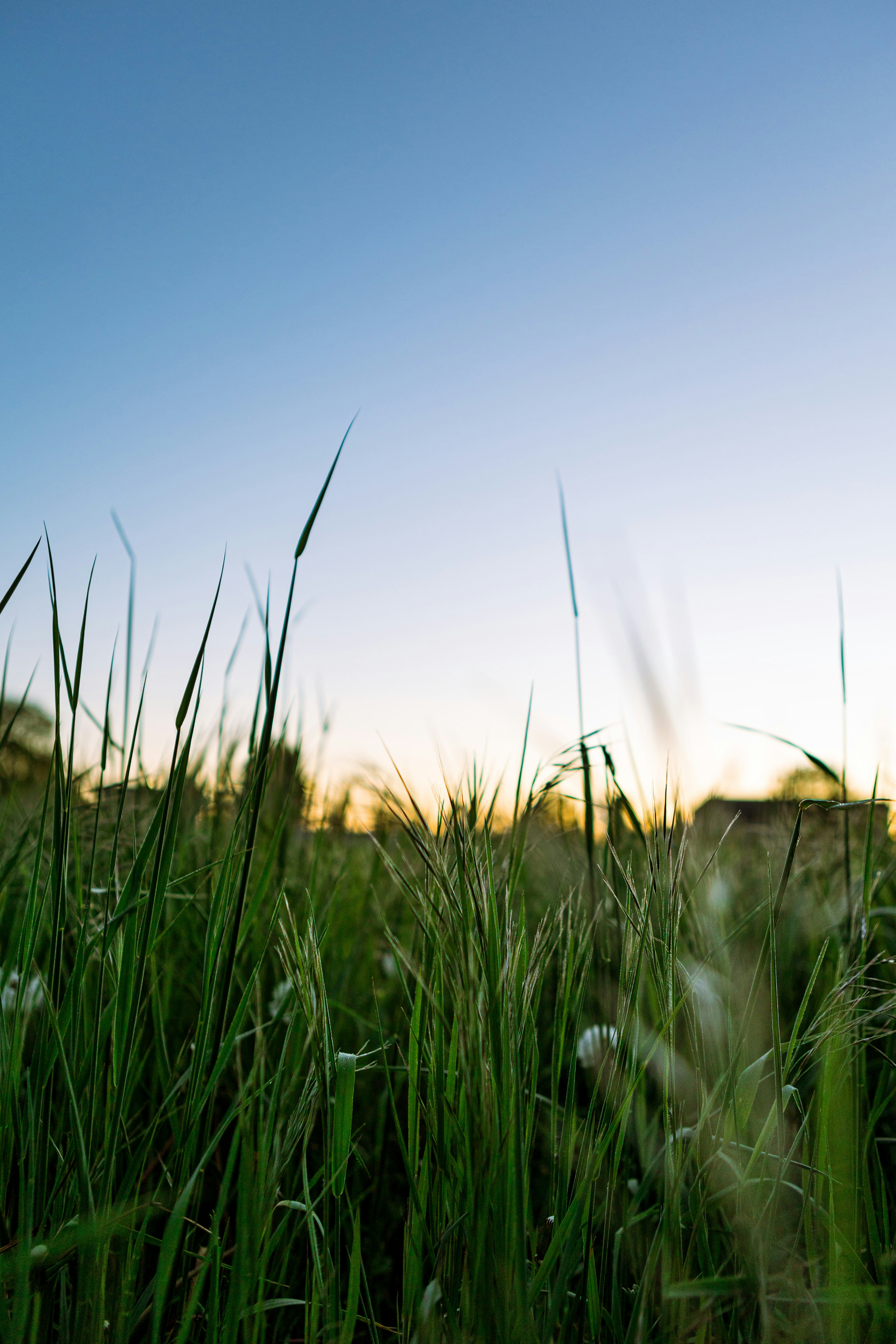 Photo by alex_gruber