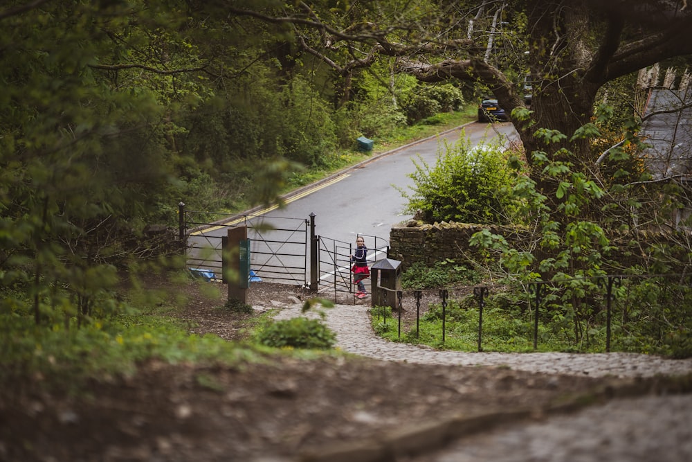 people walking on pathway between green trees during daytime