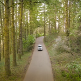A hearse driving through a peaceful Latvian countryside road surrounded by trees.