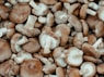 Shiitake Mushrooms