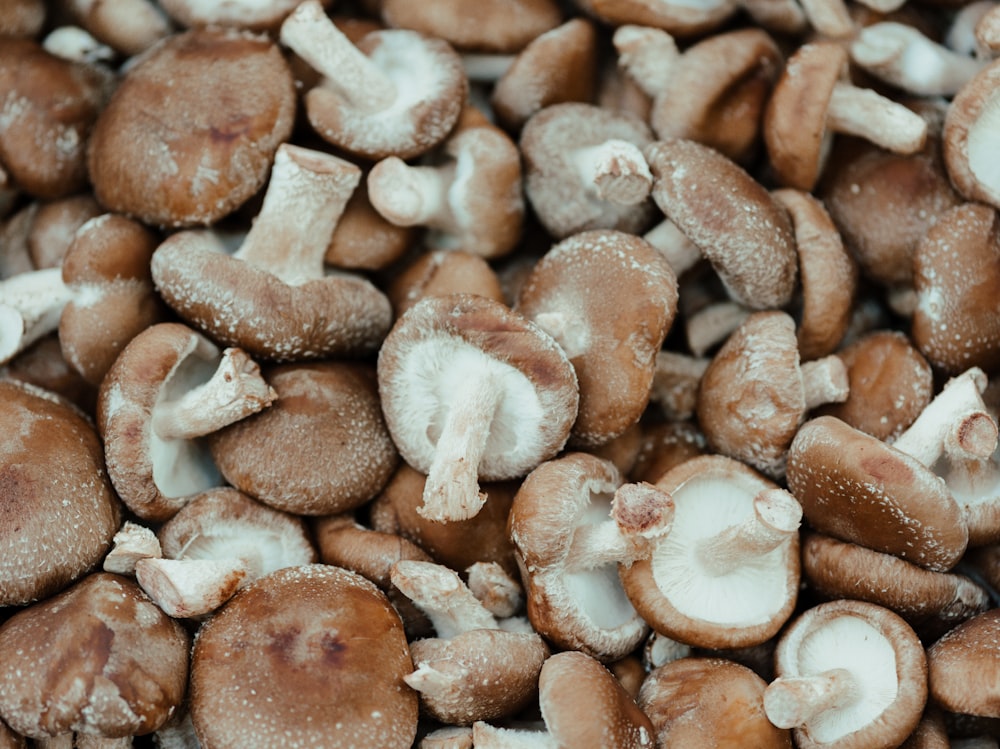 brown and white mushrooms on brown wooden surface