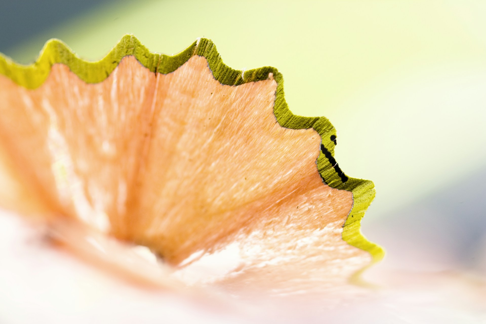 A vibrant close-up of a colored pencil artwork showcasing delicate shading and rich textures.