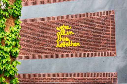 A brick wall with a handwritten message in bright yellow text reads 'we're all in this together.' The wall is partially covered with vibrant green ivy leaves on the left side.