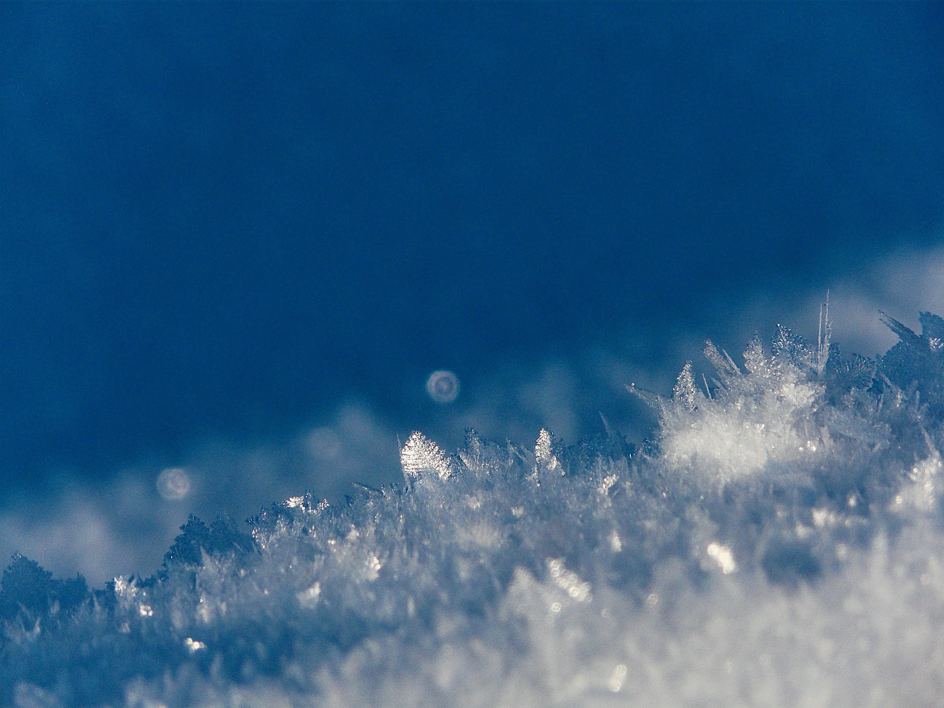 Photo by peterburdon