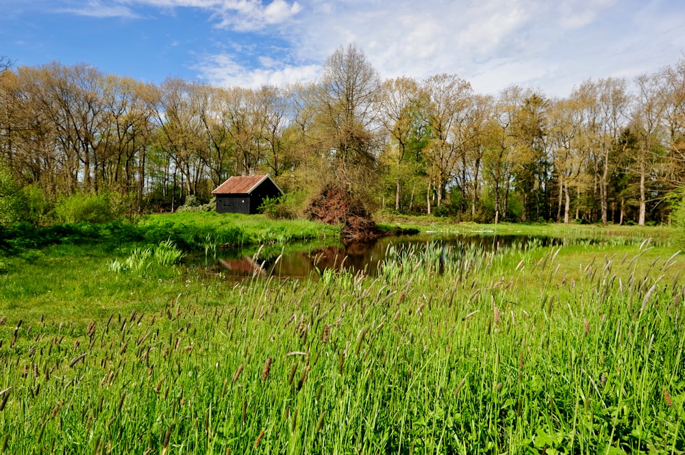 brown wooden house on green grass field near lake under blue sky during daytime
