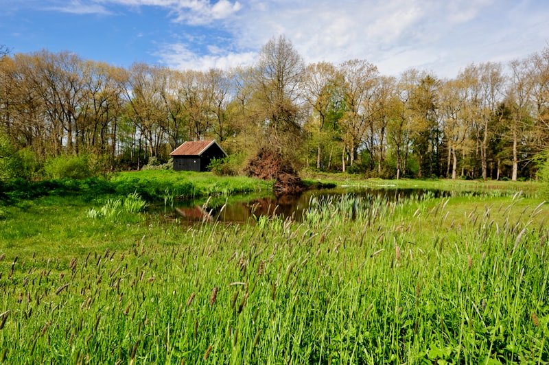 Modern sustainable agriculture in the Netherlands