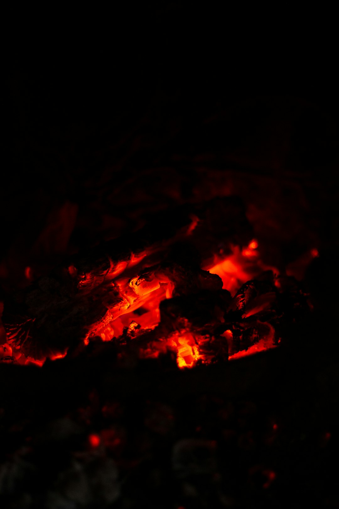 burning wood in fire pit