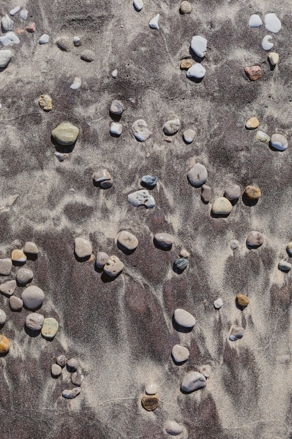 pierres brunes et noires sur sable gris