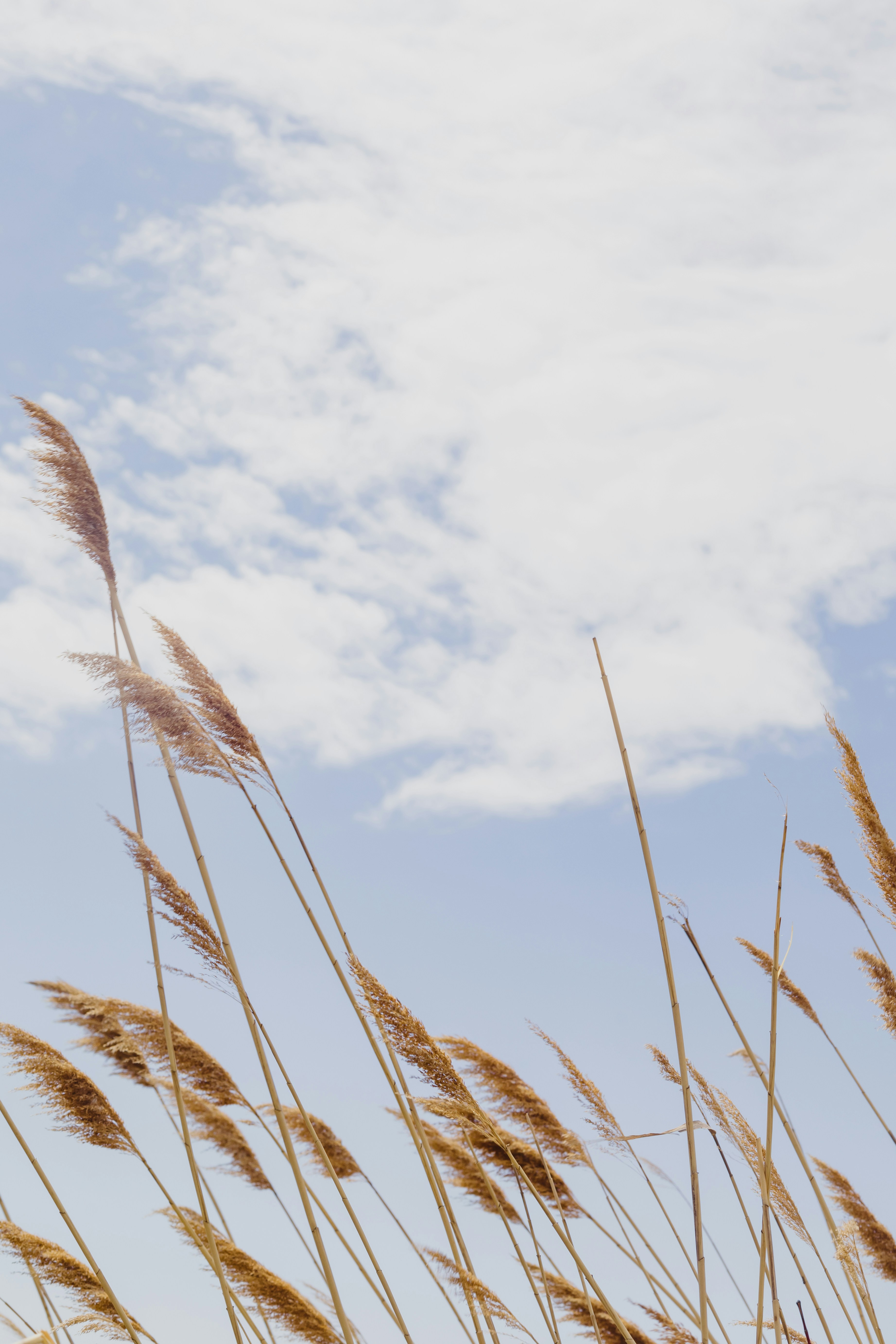 Photo by sjanesphotos