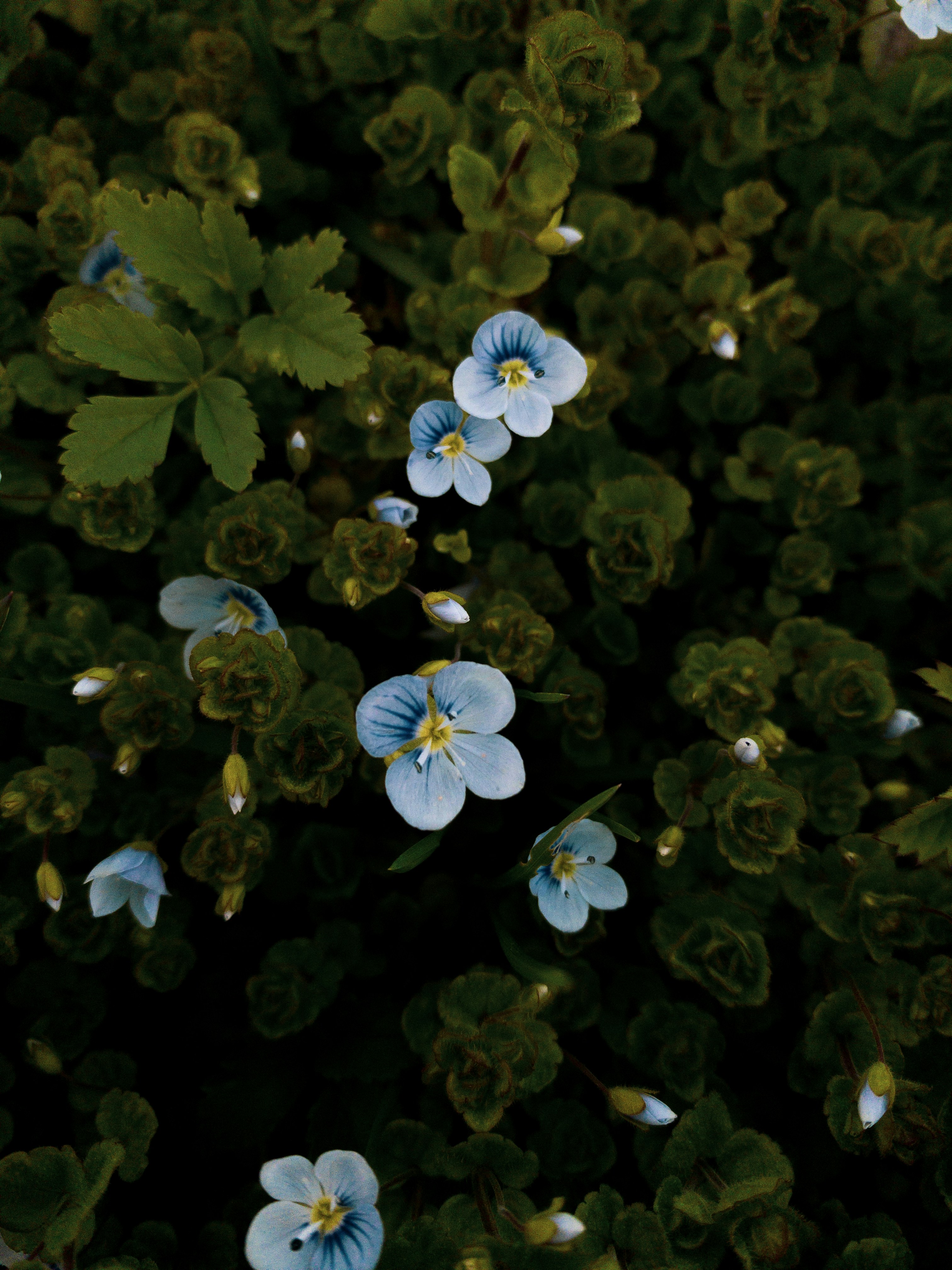 Photo by tsariovaanna