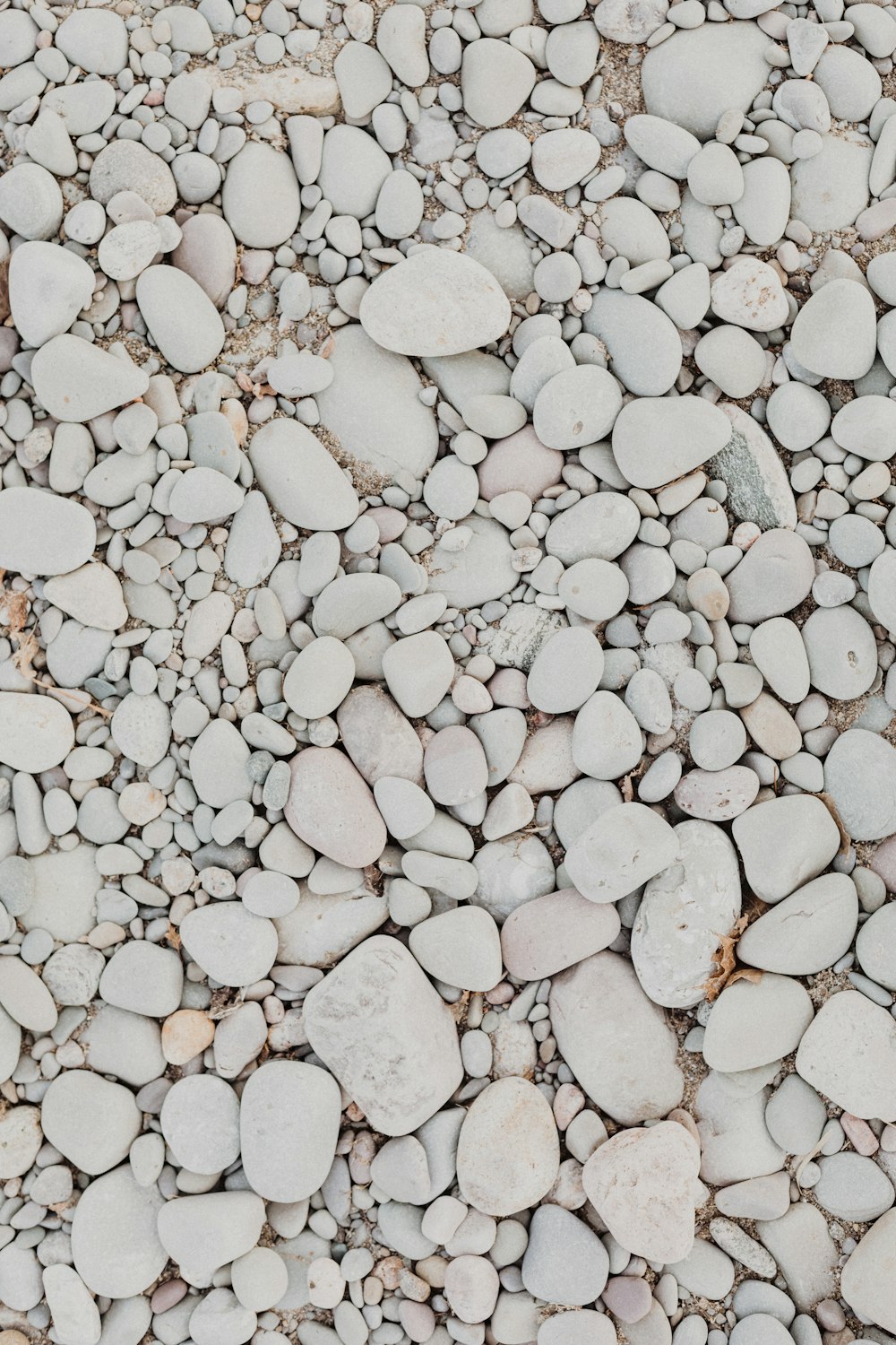 white and gray stones on brown soil