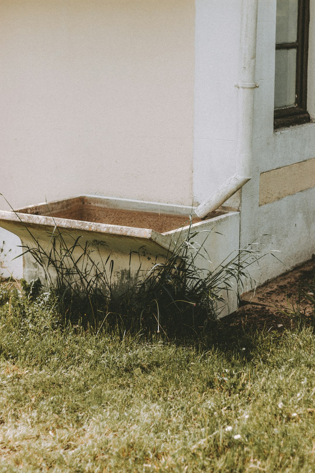 white concrete wall near green grass during daytime