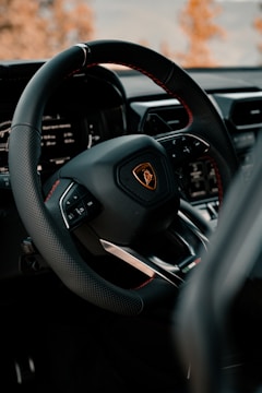 black and red steering wheel
