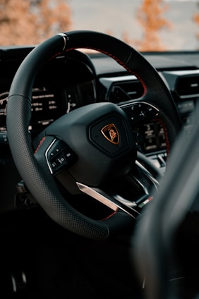 black and red steering wheel