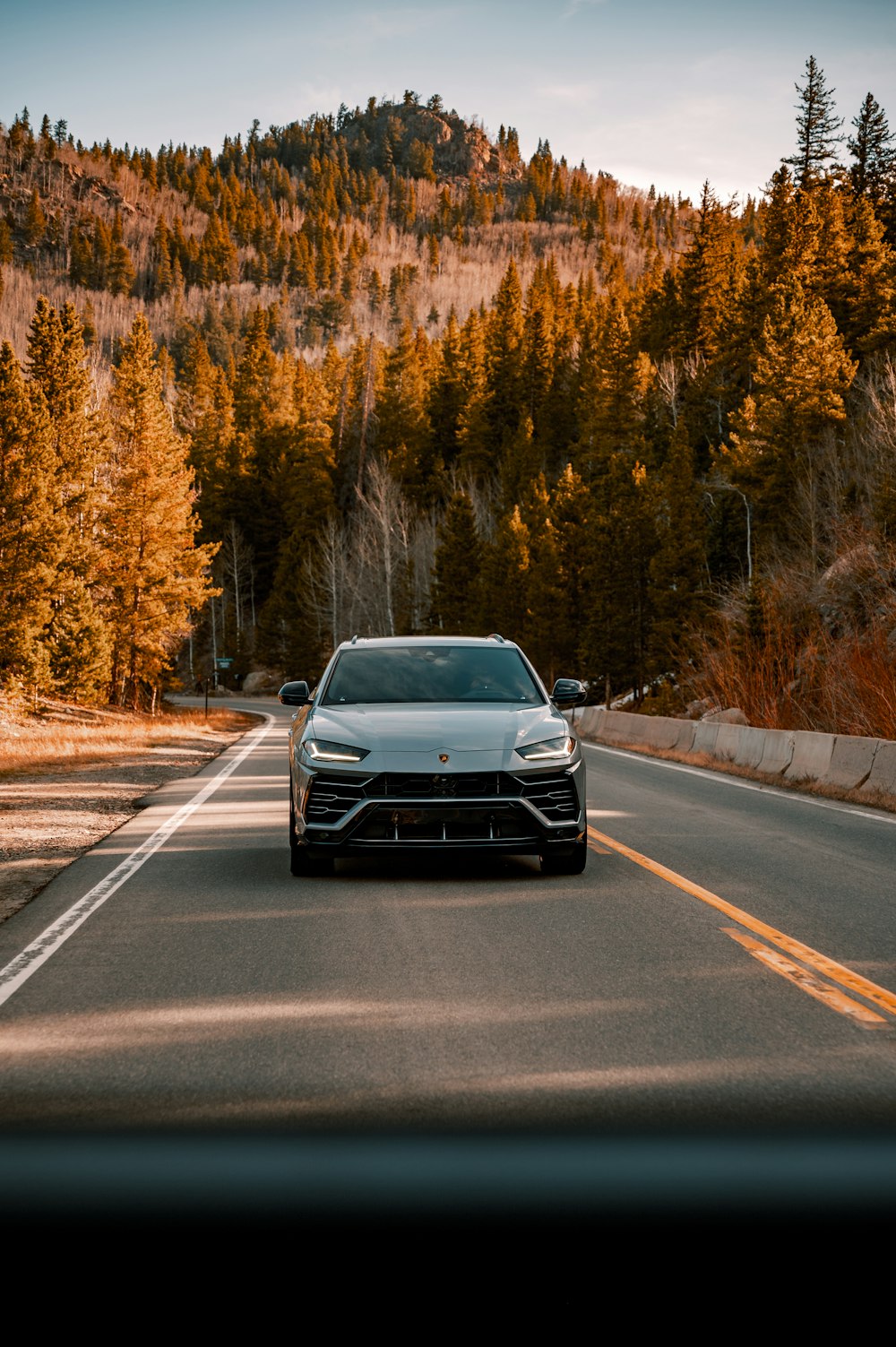 black car on road between trees during daytime