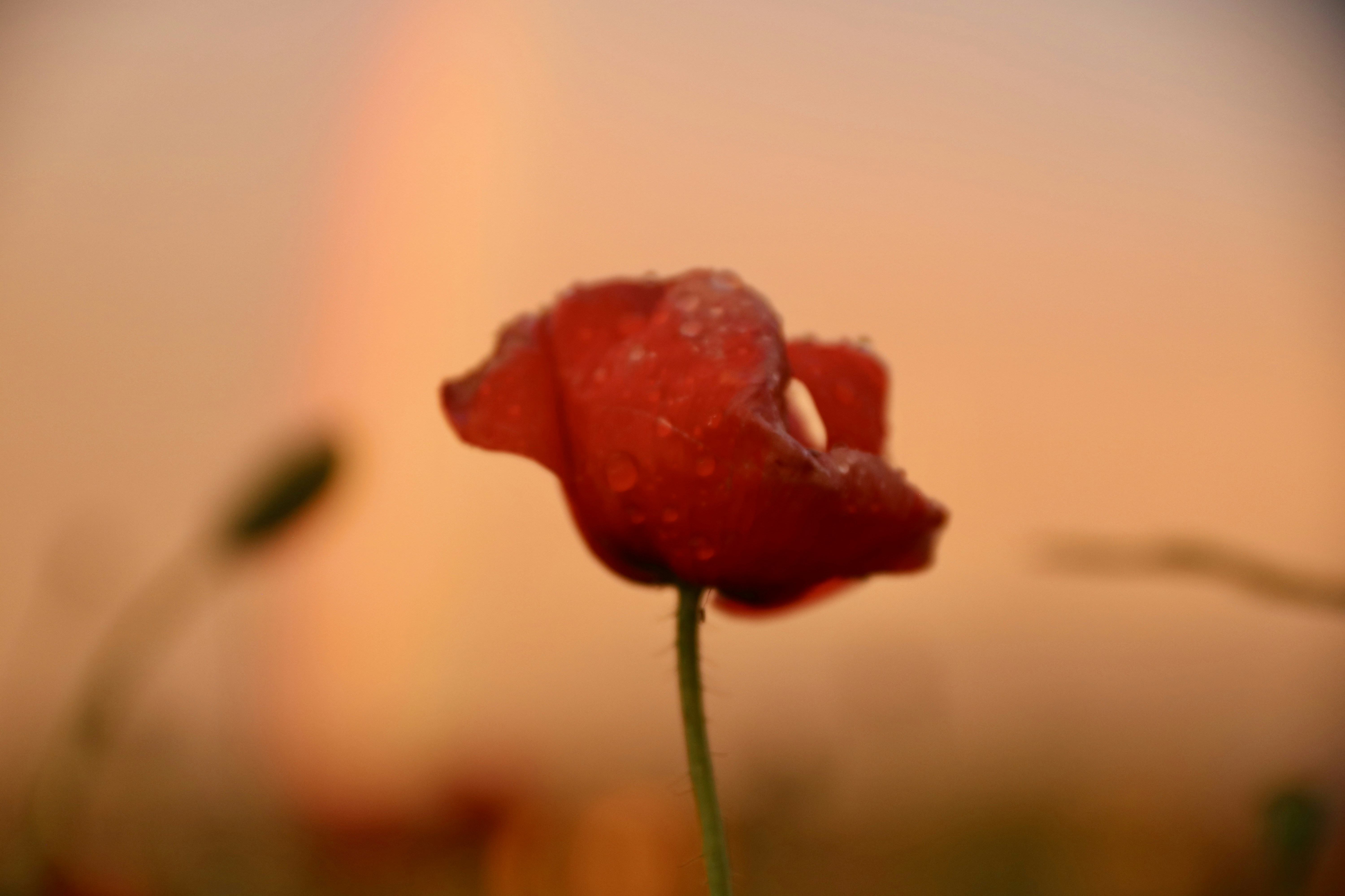 Photo by jorgefdezsalas