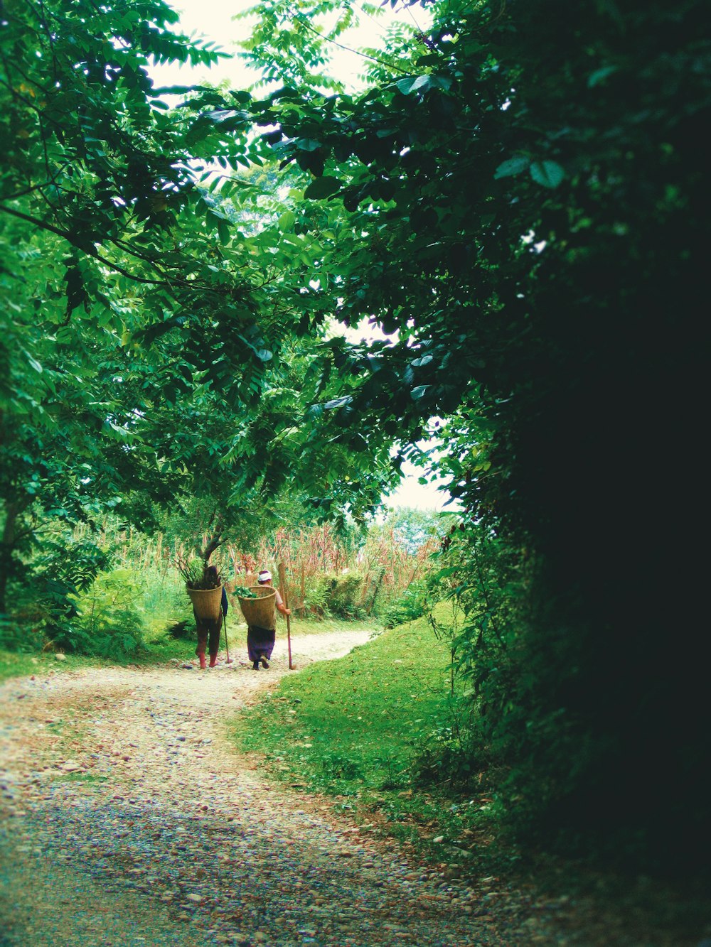 woman in brown coat walking on pathway between green trees during daytime