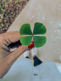 A hand with painted red nails holds a four-leaf clover against a blurred background, possibly depicting a sidewalk and grass.