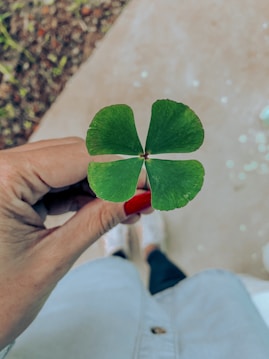 A hand with painted red nails holds a four-leaf clover against a blurred background, possibly depicting a sidewalk and grass.