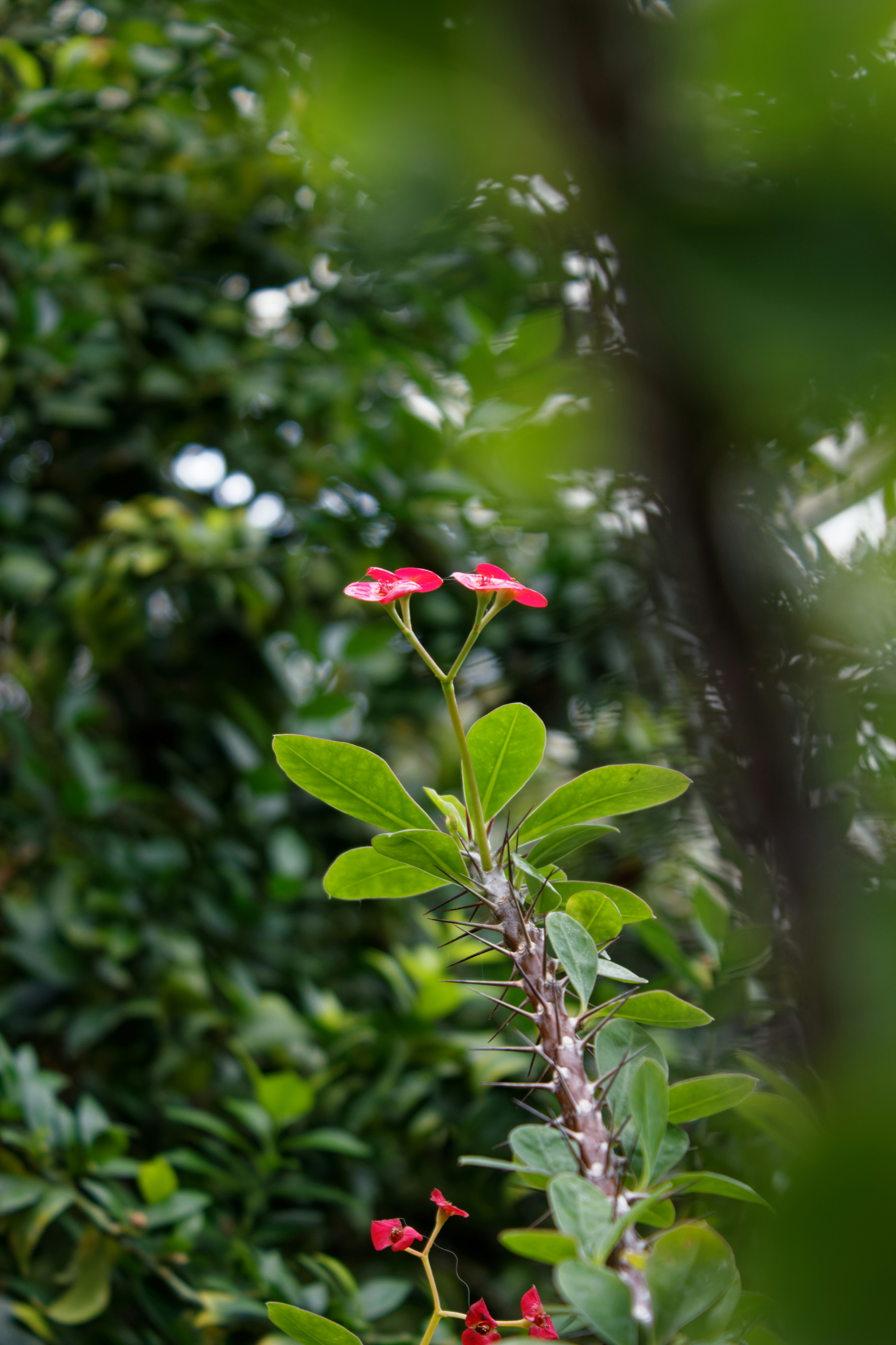 Photo by mrgreatheart