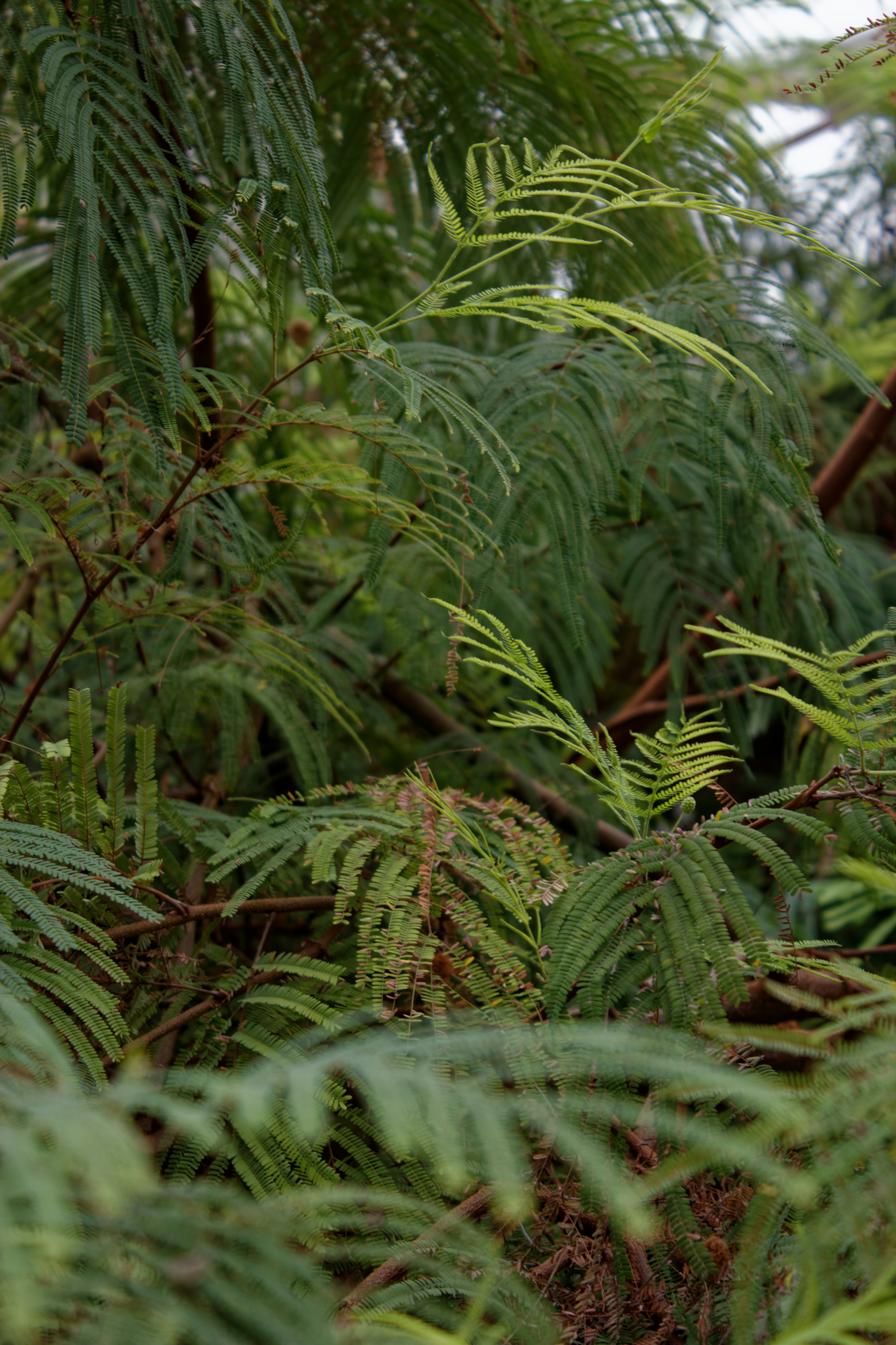 Photo by mrgreatheart