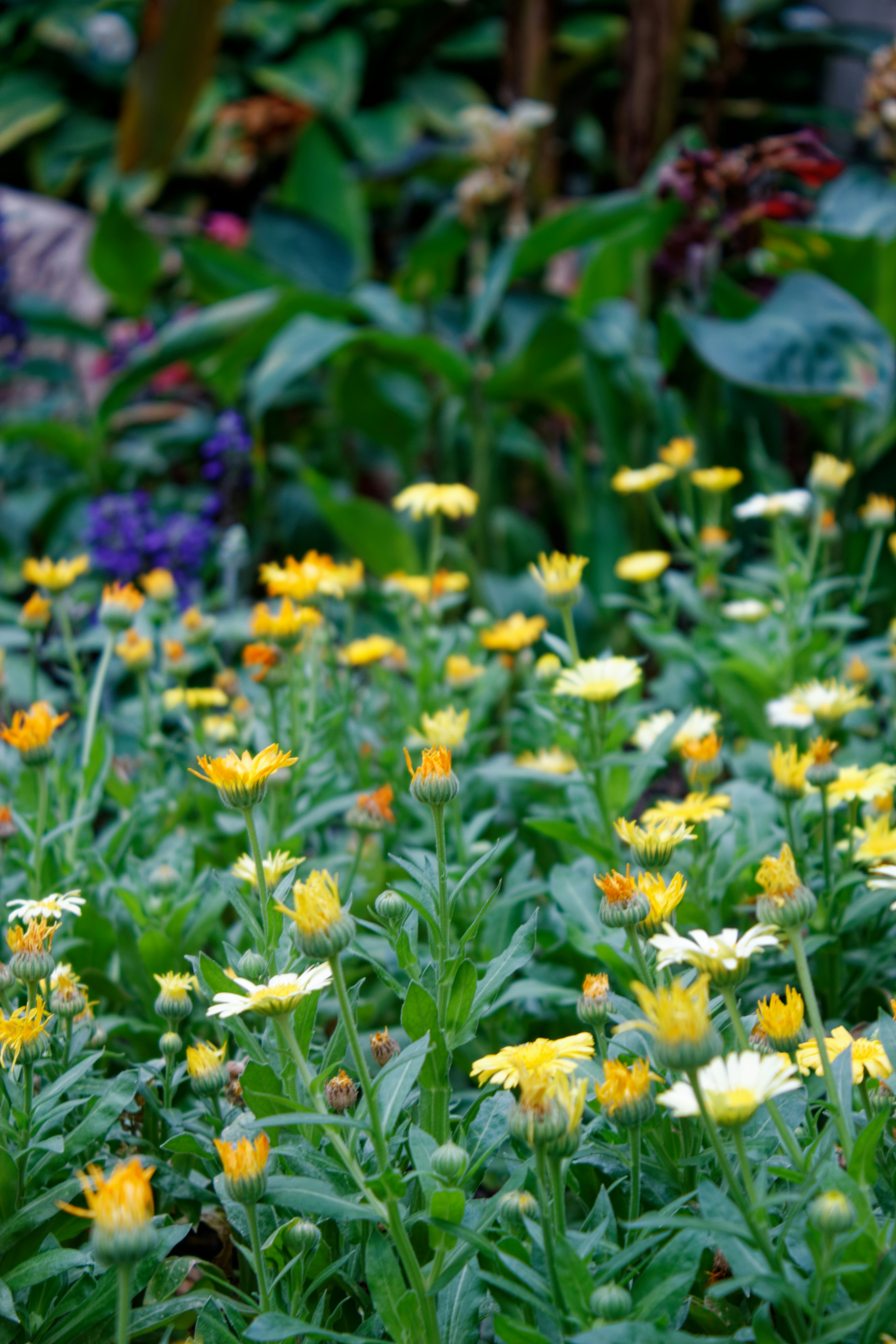 Photo by mrgreatheart