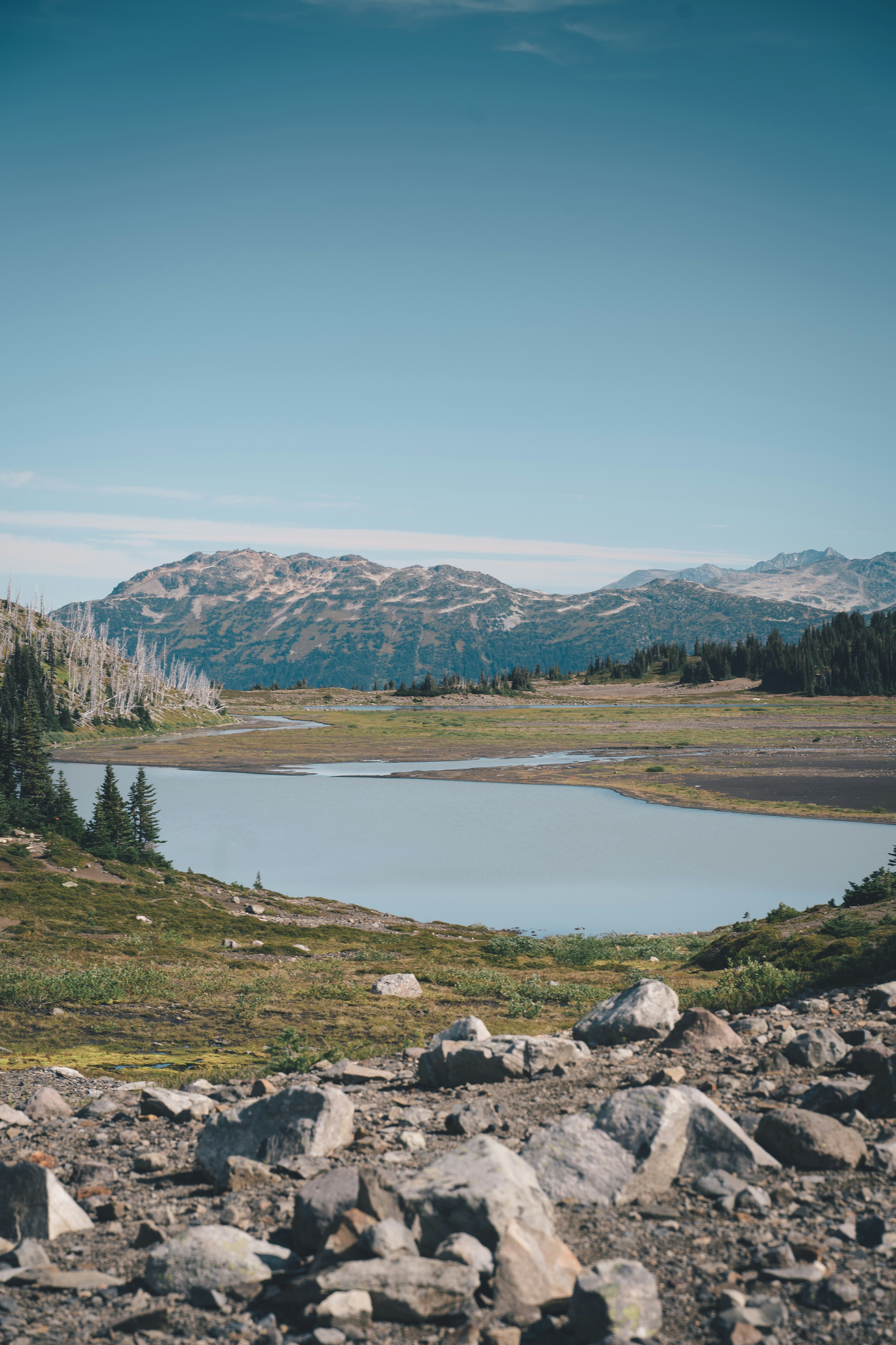 Photo by thomaslrdeau